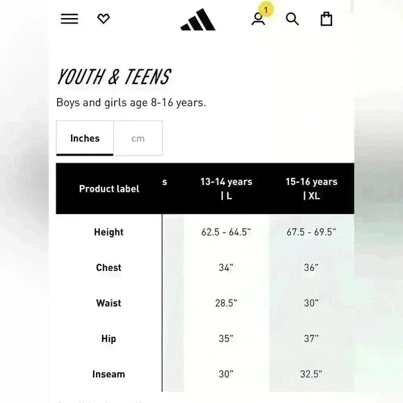 Adidas Iconic Tricot Jogger, Unisex Youth Size Large 14/16, Silver Gray - Picture 13 of 13